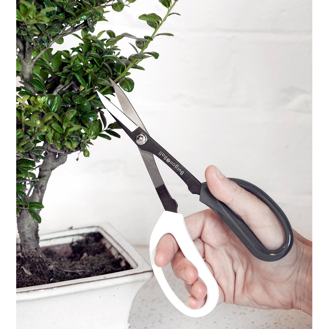 Burgon & Ball Japanese Pruning Scissors