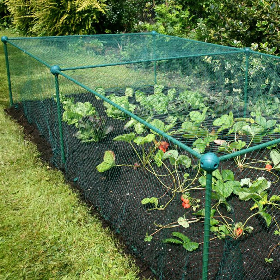 Fruit and Vegetable Garden Cage Kit with Bird Netting (0.625m high)