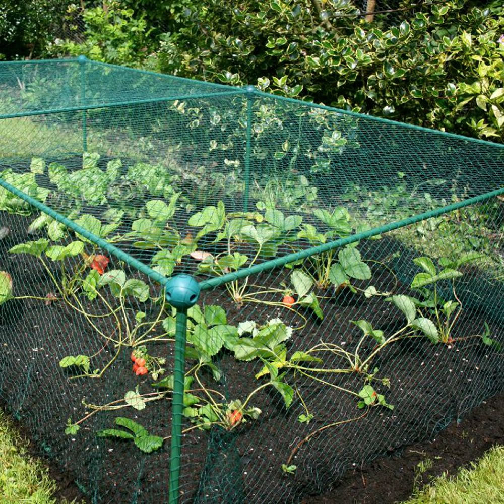 Fruit and Vegetable Garden Cage Kit with Bird Netting (0.625m high)