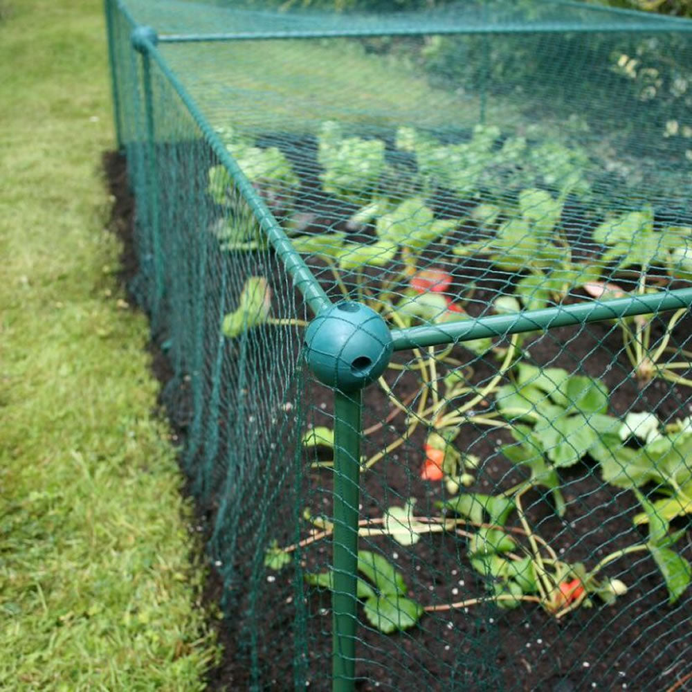 Fruit and Vegetable Garden Cage Kit with Bird Netting (0.625m high)