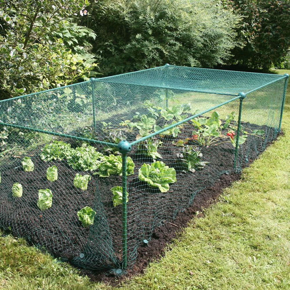 Fruit and Vegetable Garden Cage Kit with Bird Netting (0.625m high)