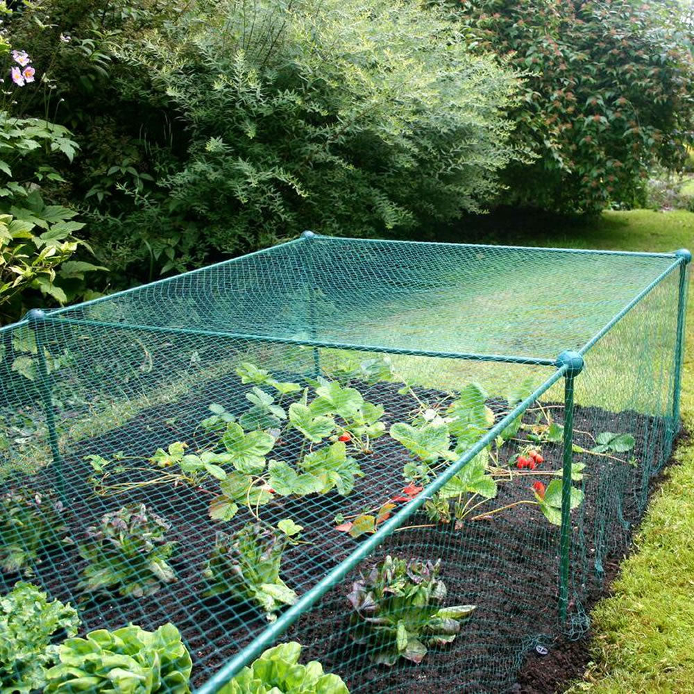 Fruit and Vegetable Garden Cage Kit with Bird Netting (0.625m high)