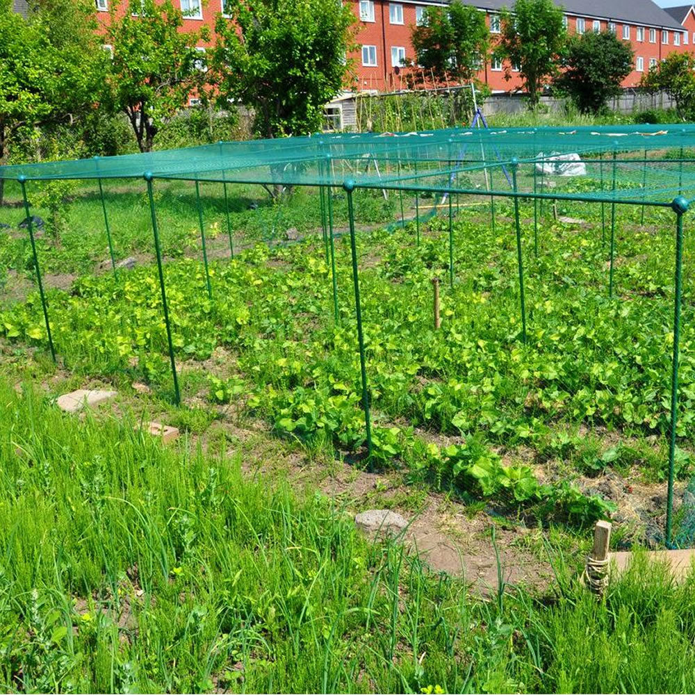 Fruit and Vegetable Garden Cage Kit (1.25m high)