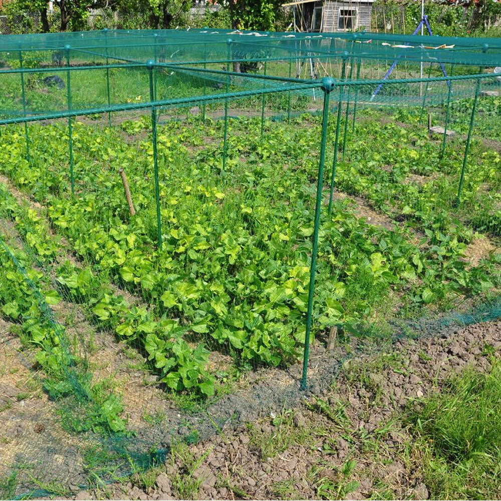 Fruit and Vegetable Garden Cage Kit (1.25m high)