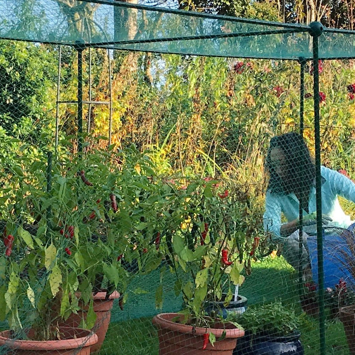 Fruit and Vegetable Garden Cage Kit (1.25m high)