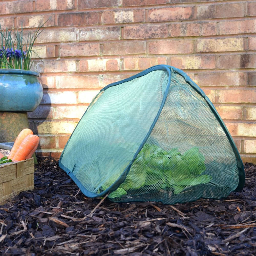 Pop Up Mini Grow Triangular Tunnel & Vegetable Bed Cover