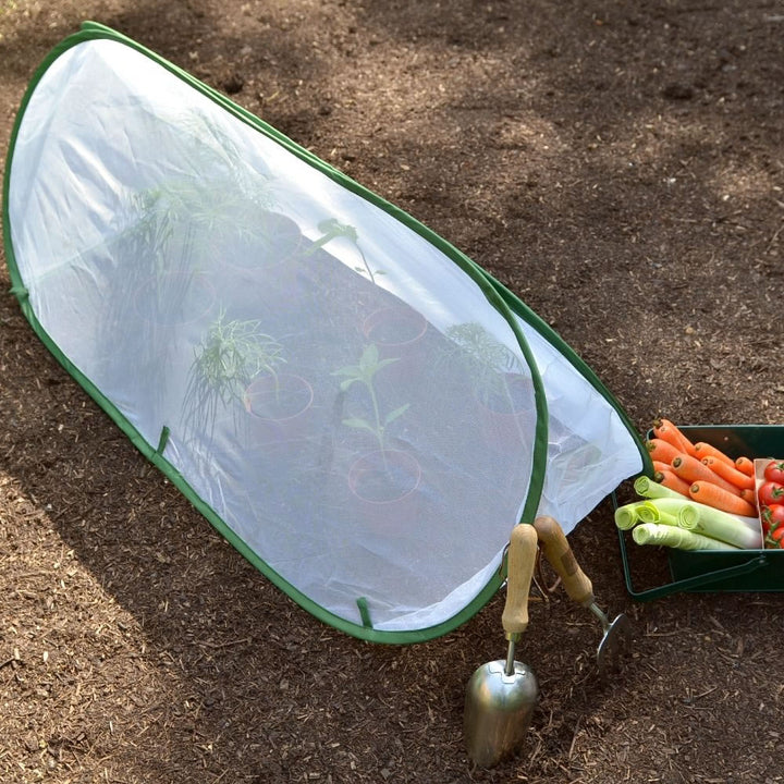 Pop Up Mini Insect Mesh Grow Tunnel & Veg Bed Cover