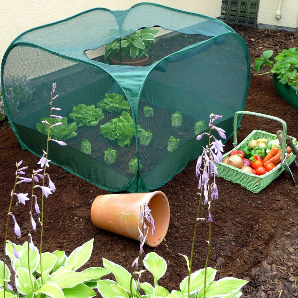 Pop Up Strawberry & Salad Fruit Cage Plant Cover