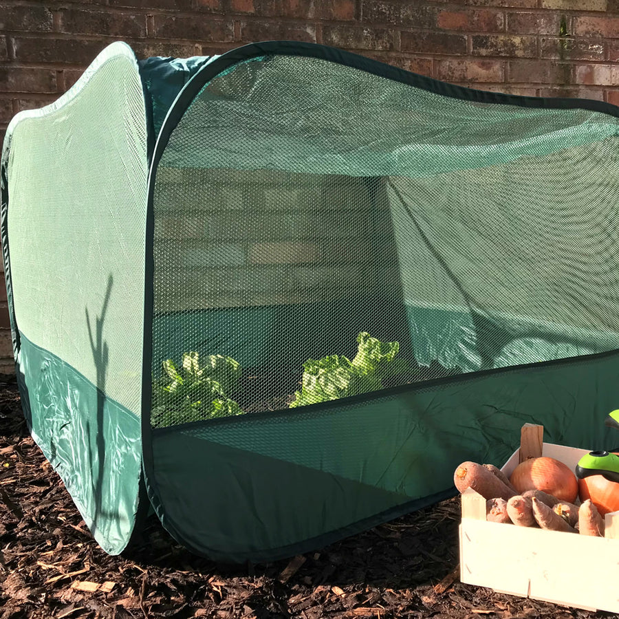 Pop Up Fruit and Vegetable Cage Grow-House