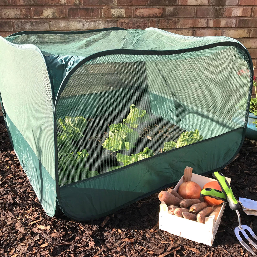 Pop Up Fruit and Vegetable Cage Grow-House