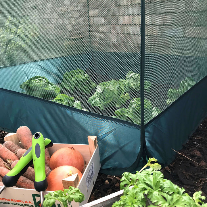 Pop Up Fruit and Vegetable Cage Grow-House