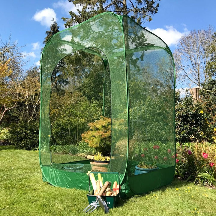 Pop Up Raspberry Fruit Cage & Plant Cover