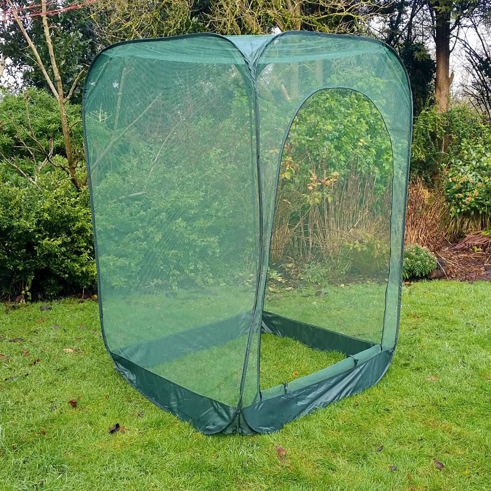 Pop Up Raspberry Fruit Cage & Plant Cover - Garden Wildlife