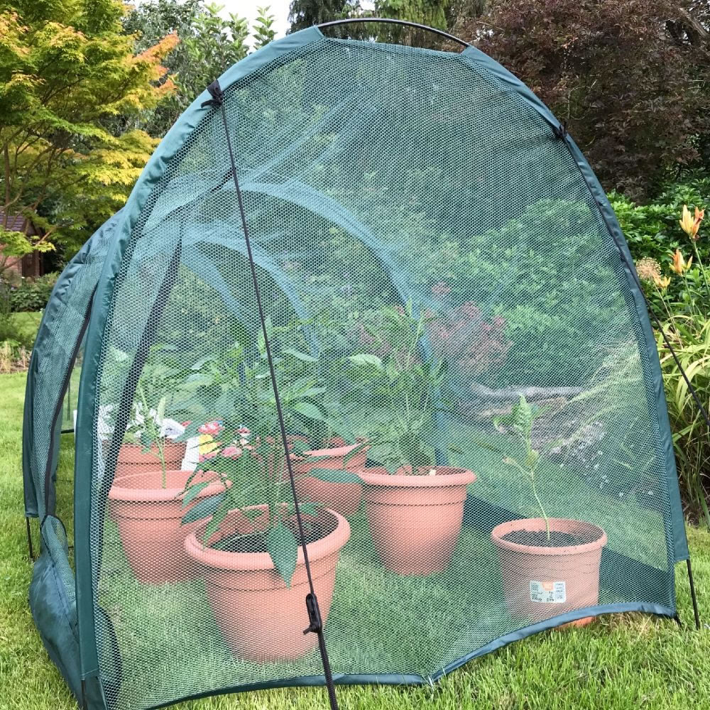 Pro Gro Professional Garden Grow Tunnel & Plant Protection Cover - 3m x 1m x 1m