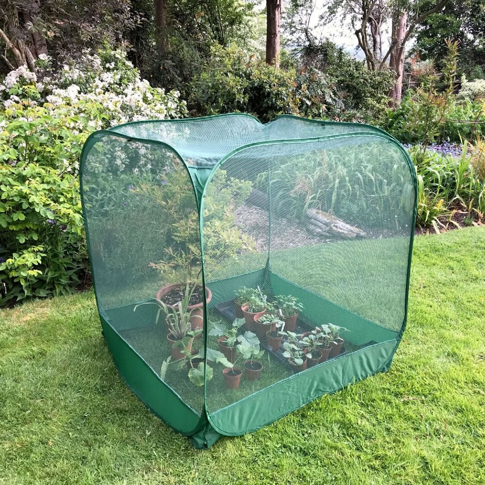 Pop Up Fruit Cage & Brassica Grow-House