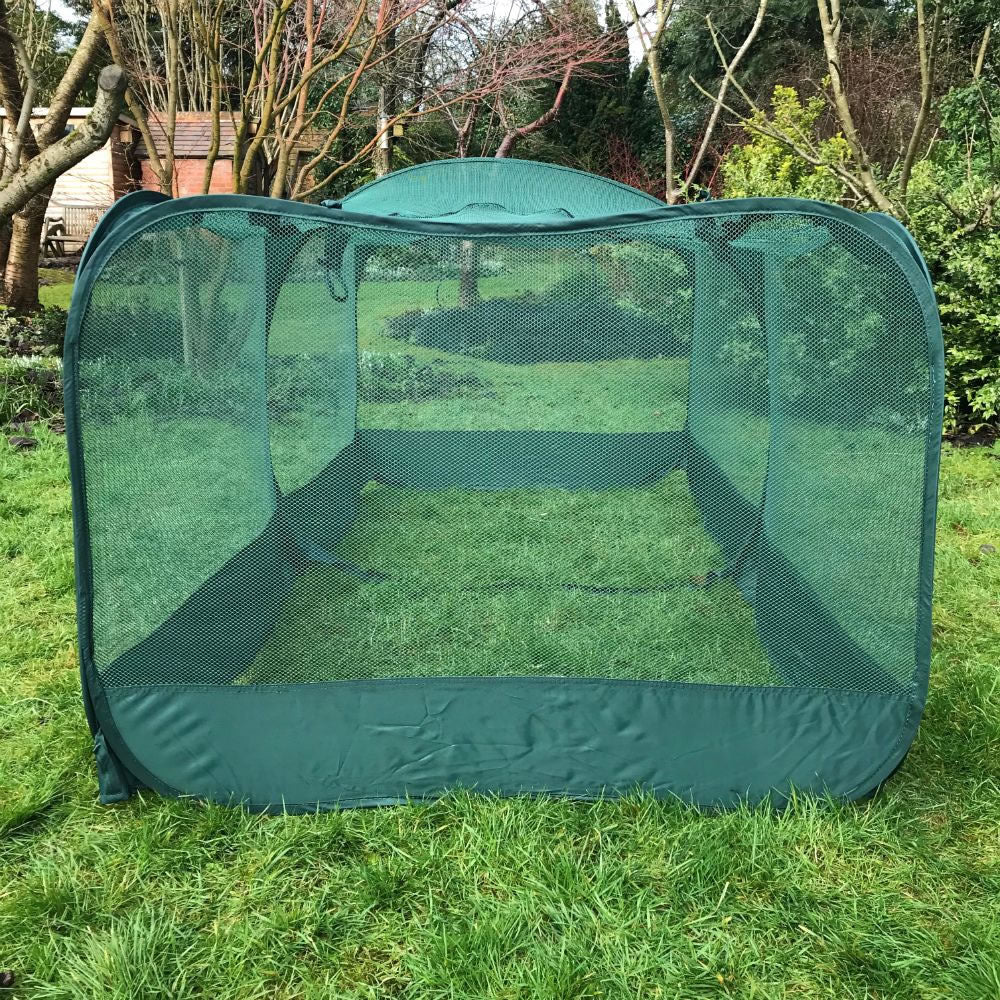 Giant Pop Up Fruit Cage & Plant Protection Cover