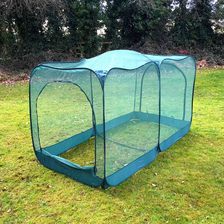 Giant Pop Up Crop Cage & Brassica Protection Cover