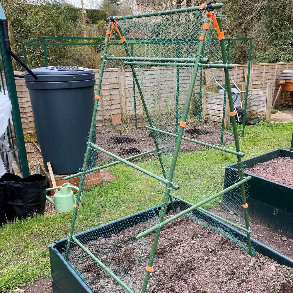 Cucumber Trellis & Pea Support Frame for Heavy Climbing Plants