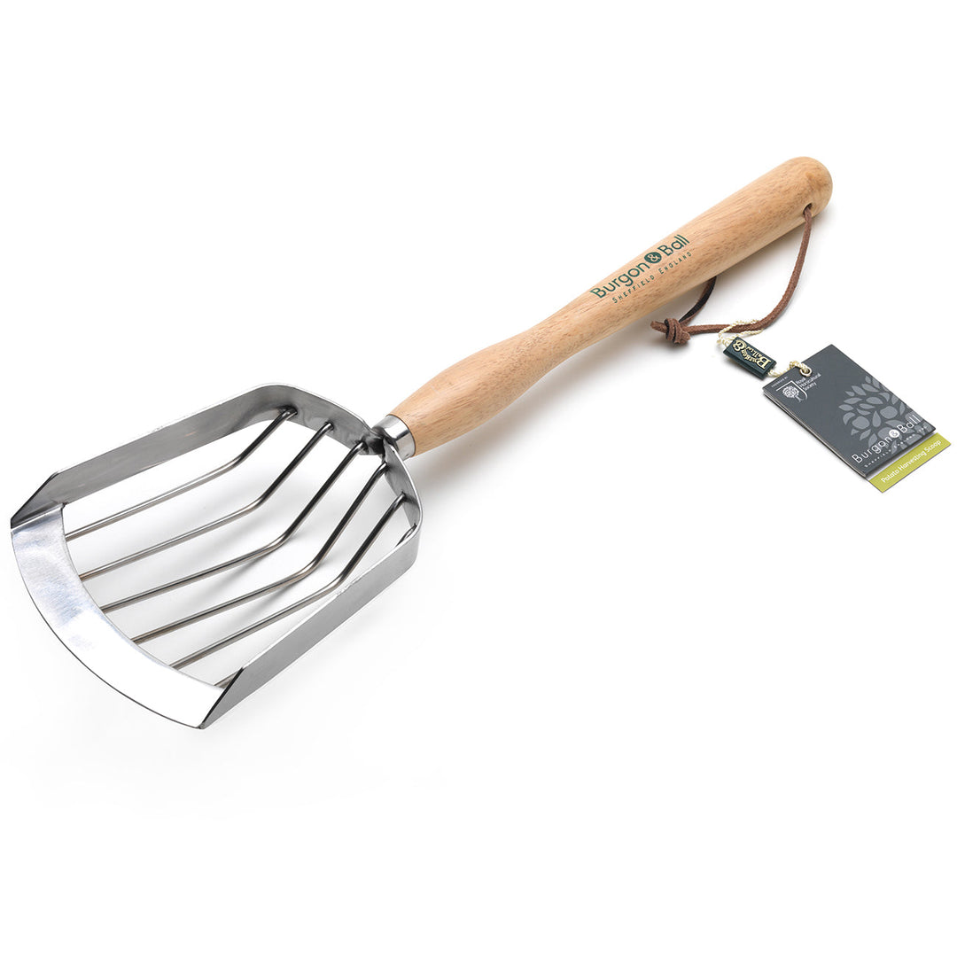 Burgon & Ball RHS Potato Harvesting Scoop