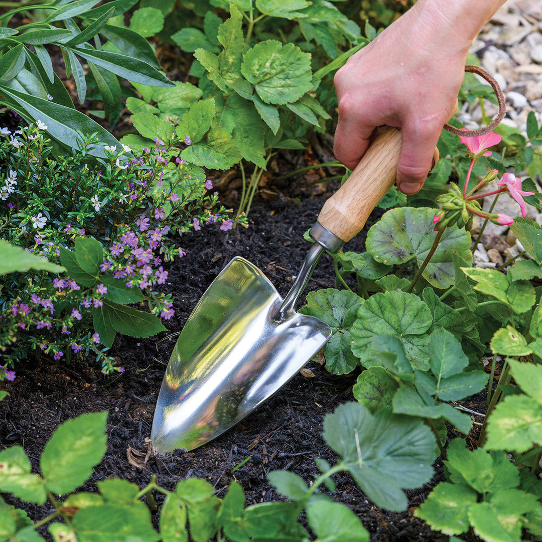 Burgon & Ball RHS Groundbreaker Trowel