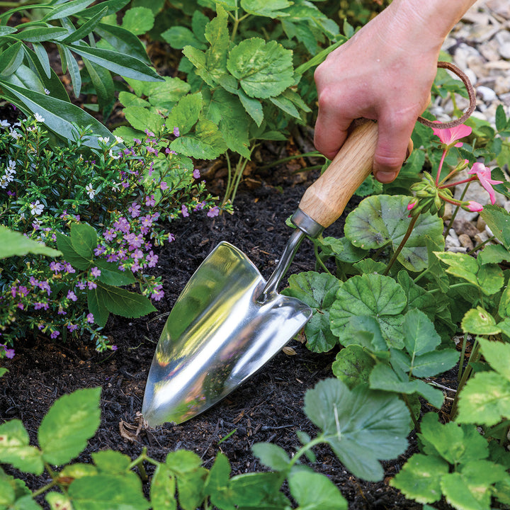 Burgon & Ball RHS Groundbreaker Trowel