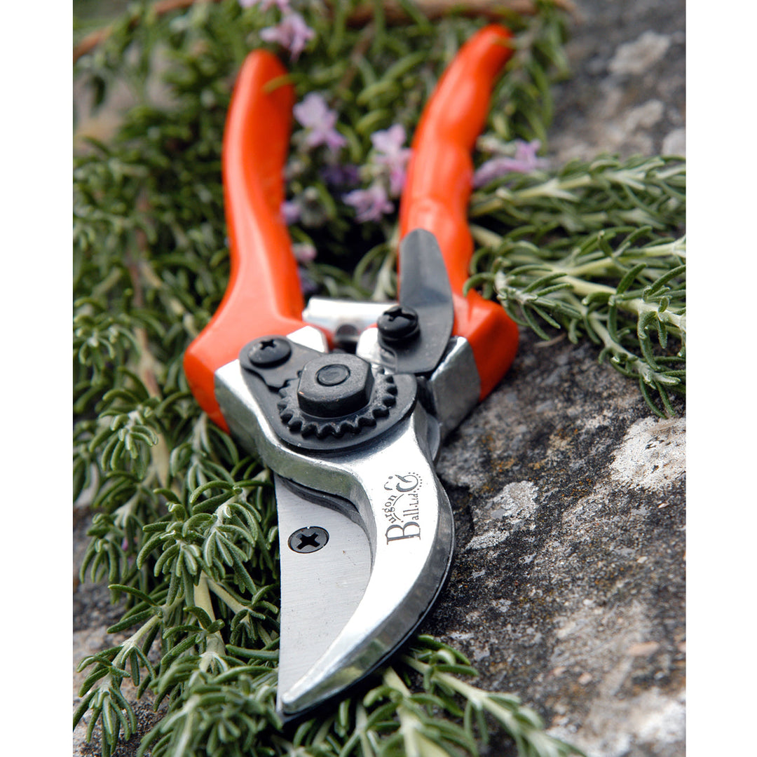 Burgon & Ball RHS Bypass Secateurs