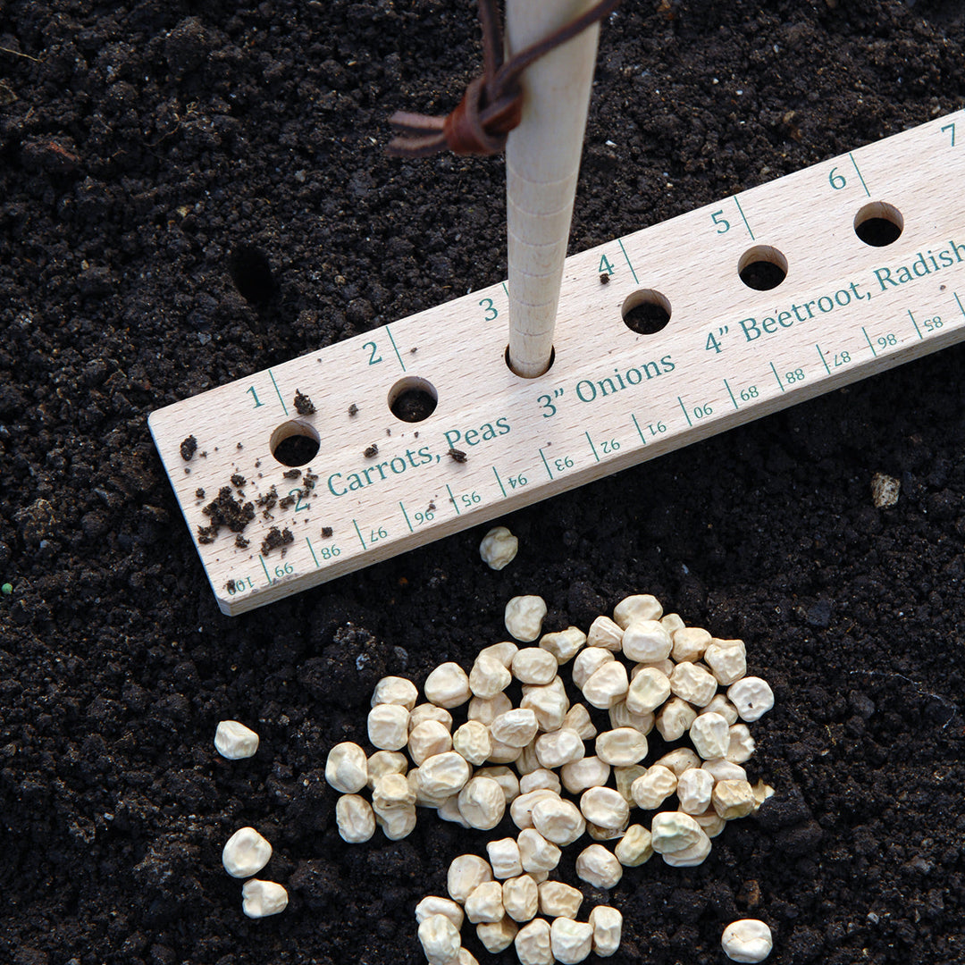 intervale seed and plant spacing ruler Burgon & Ball Seed and Plant Spacing Ruler
