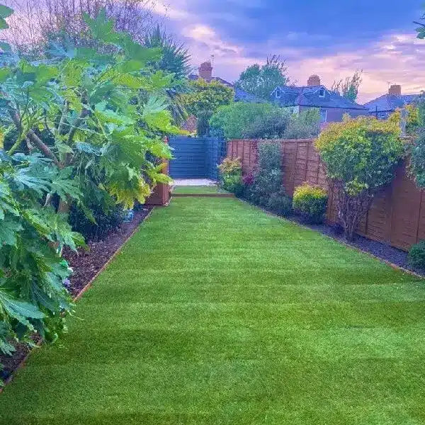 Rolawn Medallion Turf