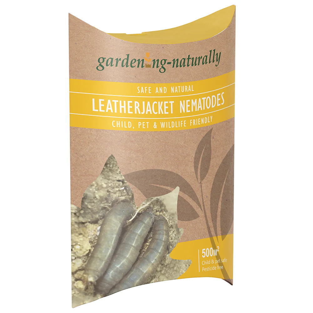 Gardening Naturally Leatherjacket Nematodes 500m2 front packaging