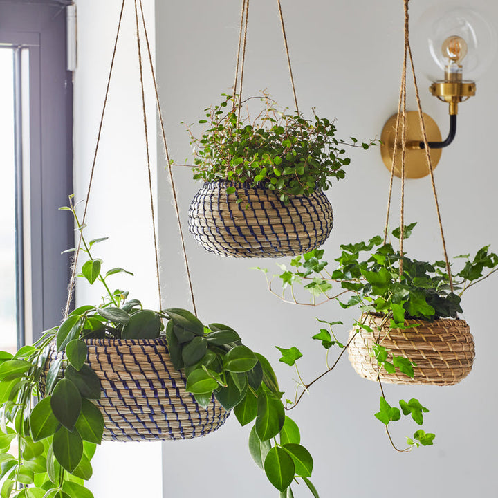 Ivyline Hanging Seagrass Planters - 2 Set