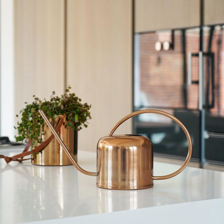 Ivyline Kensington Indoor Copper Watering Can