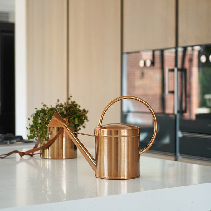 Ivyline Kensington Indoor Copper Watering Can