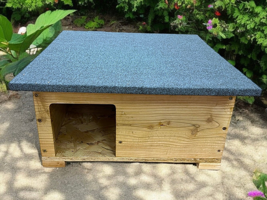 Spike Tunnel Free Hedgehog Box