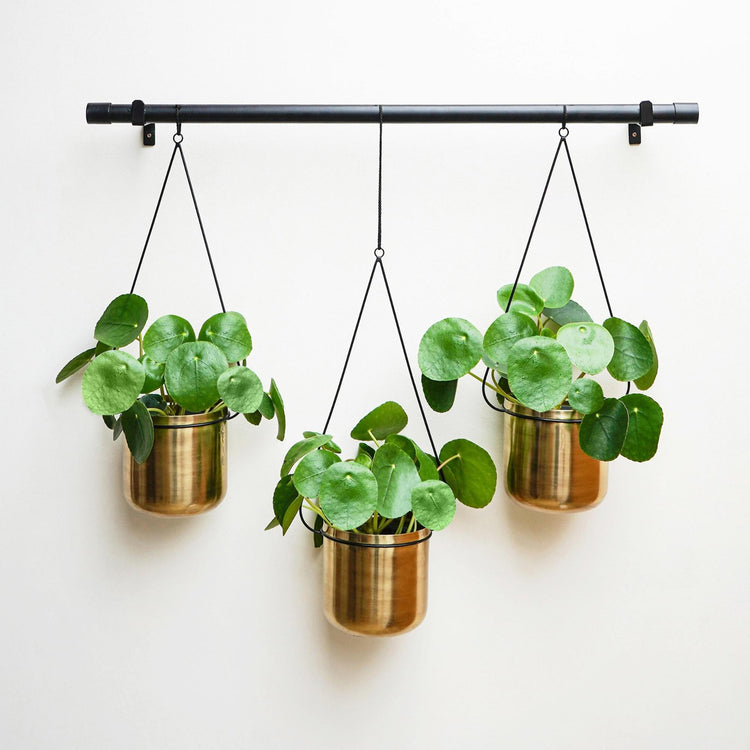 Ivyline Linear Hanging Planters Black and Gold