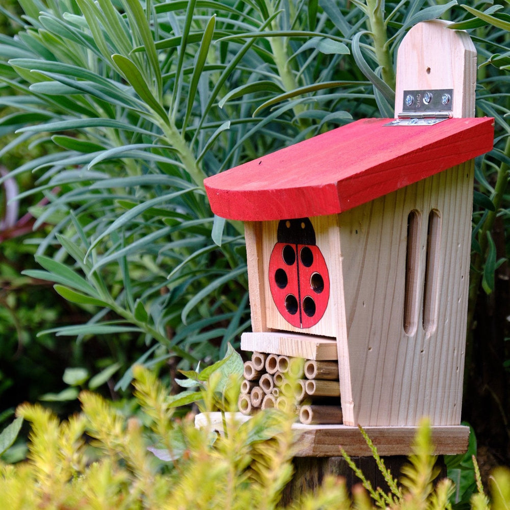 Wildlife World Ladybird & Insect Lodge