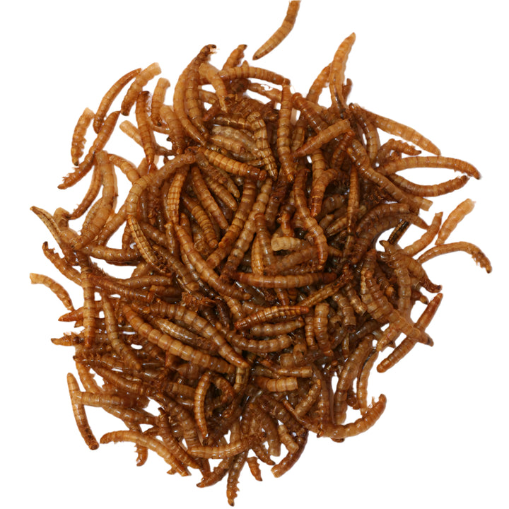 Red Barn Mealworms Bird Food