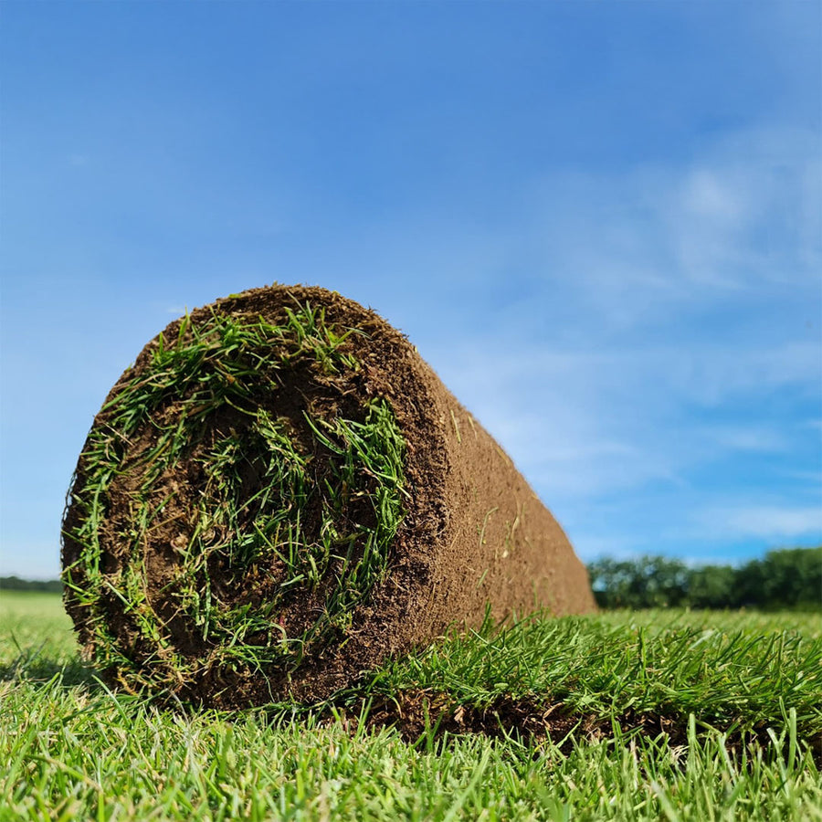 Rolawn Medallion Turf