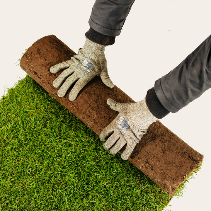 Rolawn Medallion Turf