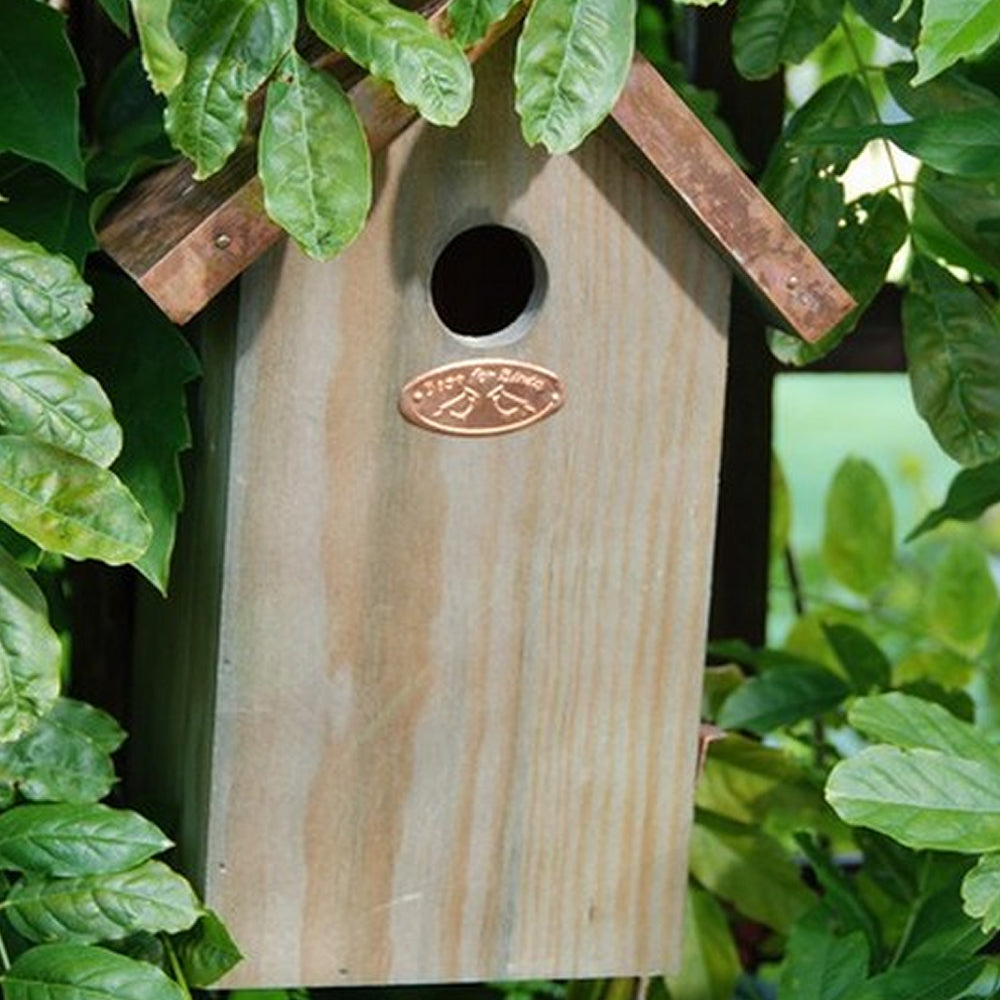 Blue Tit Bird Box with Copper Roof