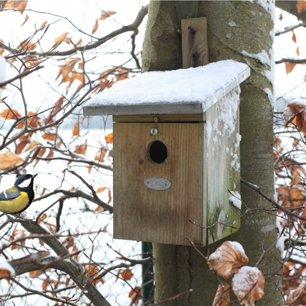 Fallen Fruits Great Tit Bird House