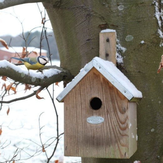 Fallen Fruits Blue Tit Nest Box