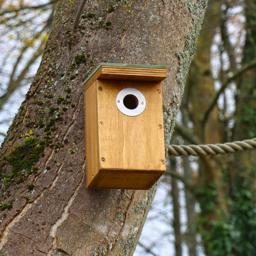 Wildlife World Nature Restoration Basic Nest Box