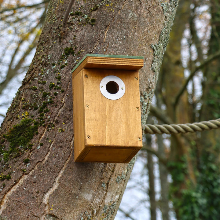 Wildlife World Nature Restoration Basic Nest Box