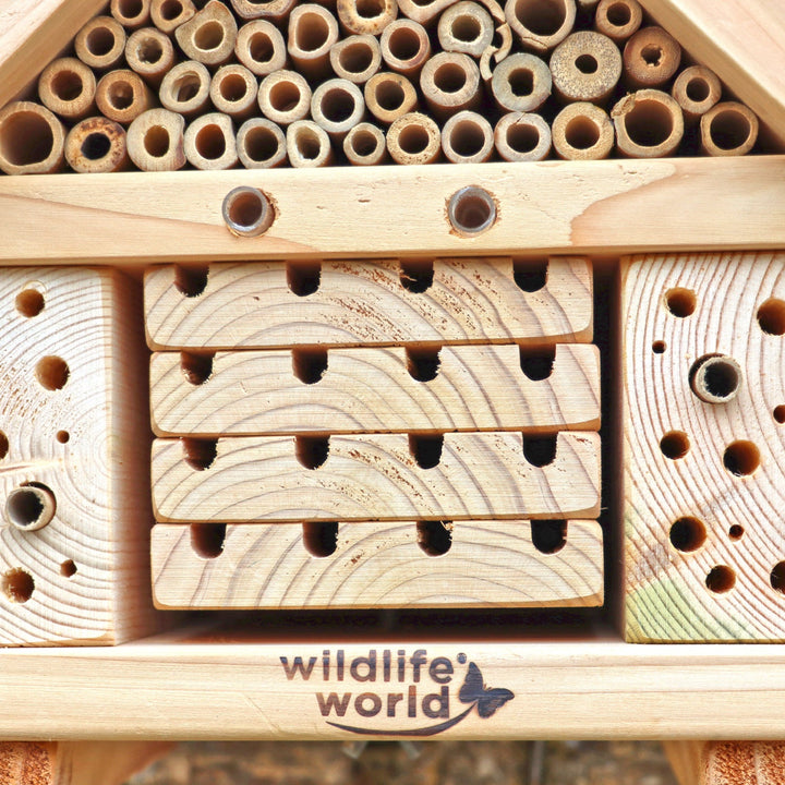 Wildlife World Nature Restoration Citizen Bee Hotel