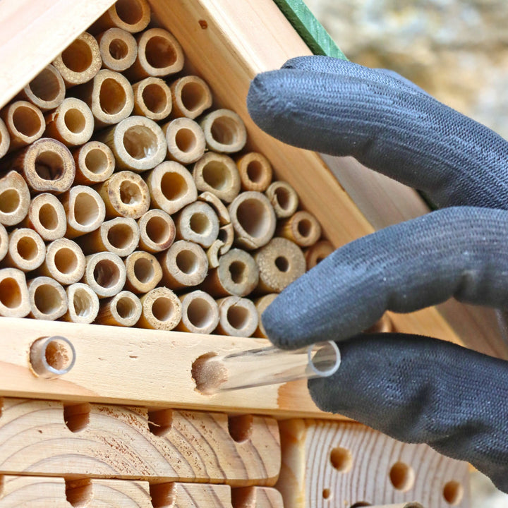 Wildlife World Nature Restoration Citizen Bee Hotel