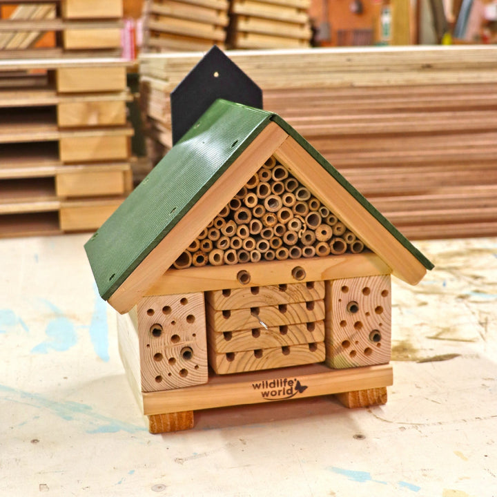 Wildlife World Nature Restoration Citizen Bee Hotel