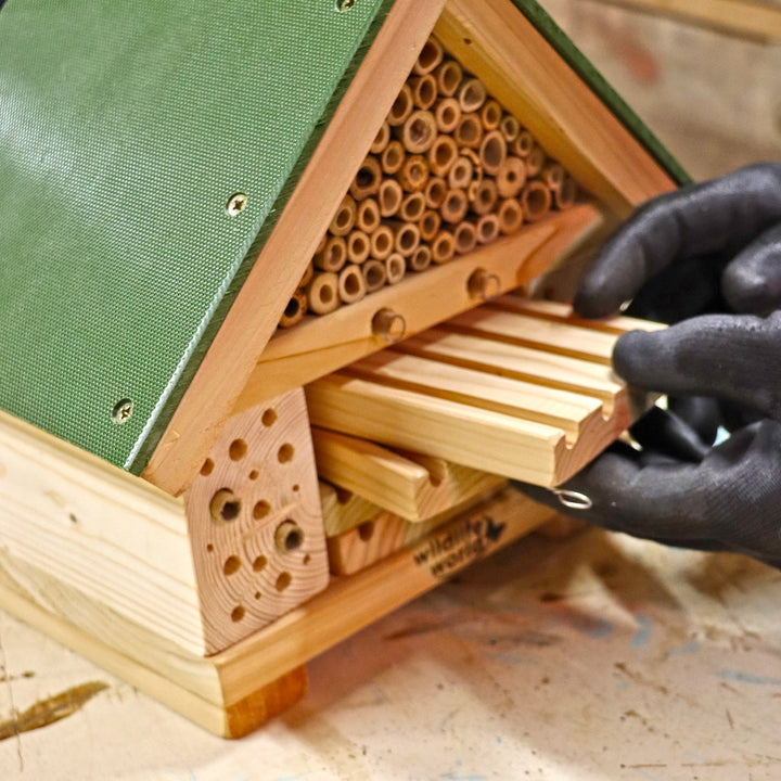 Wildlife World Nature Restoration Citizen Bee Hotel