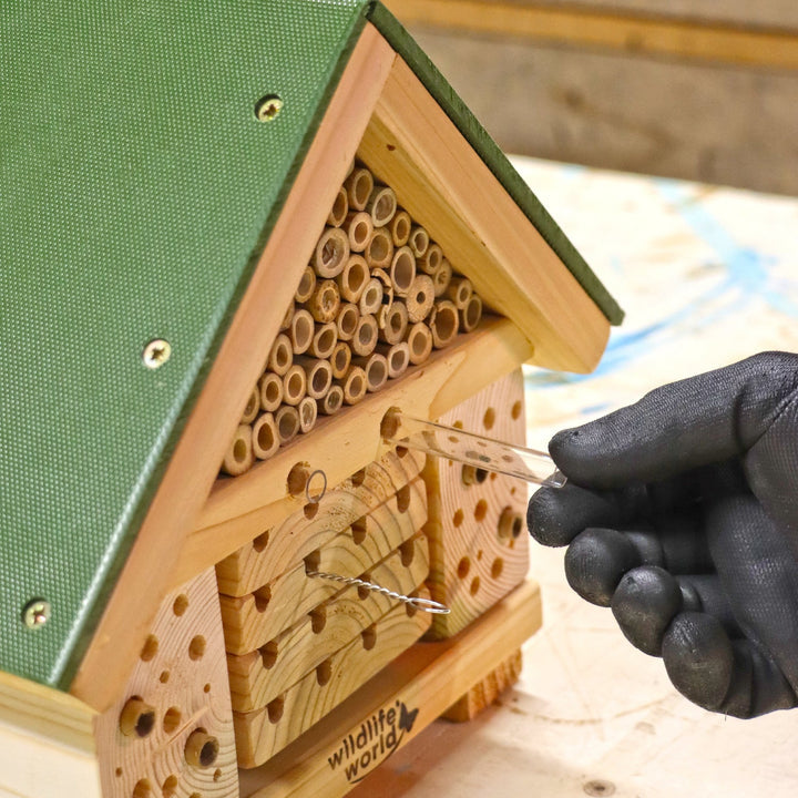 Wildlife World Nature Restoration Citizen Bee Hotel