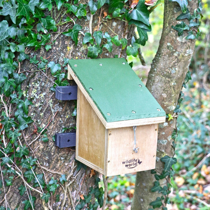 Wildlife World Nature Restoration Dormouse House