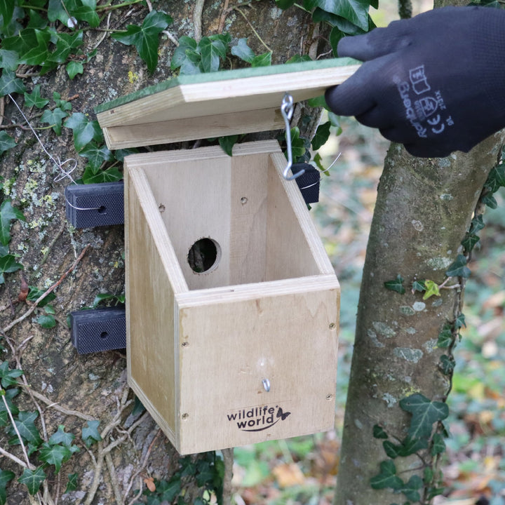 Wildlife World Nature Restoration Dormouse House